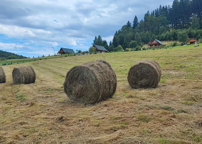 Domki Kolorowe