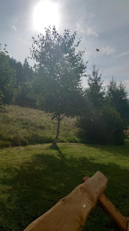 Holiday home Kolorowe