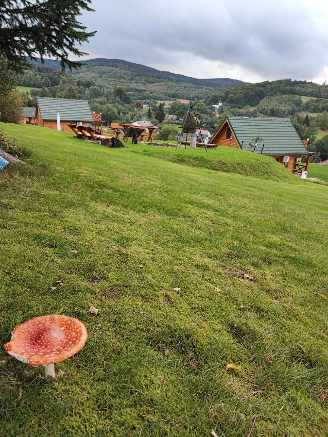 Kolorowe