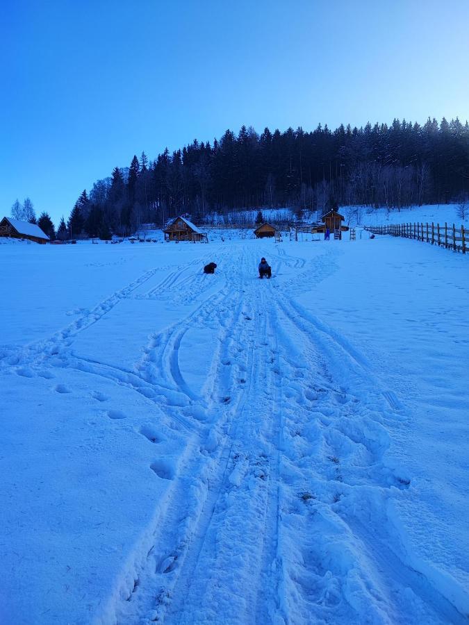 Kolorowe Holiday home