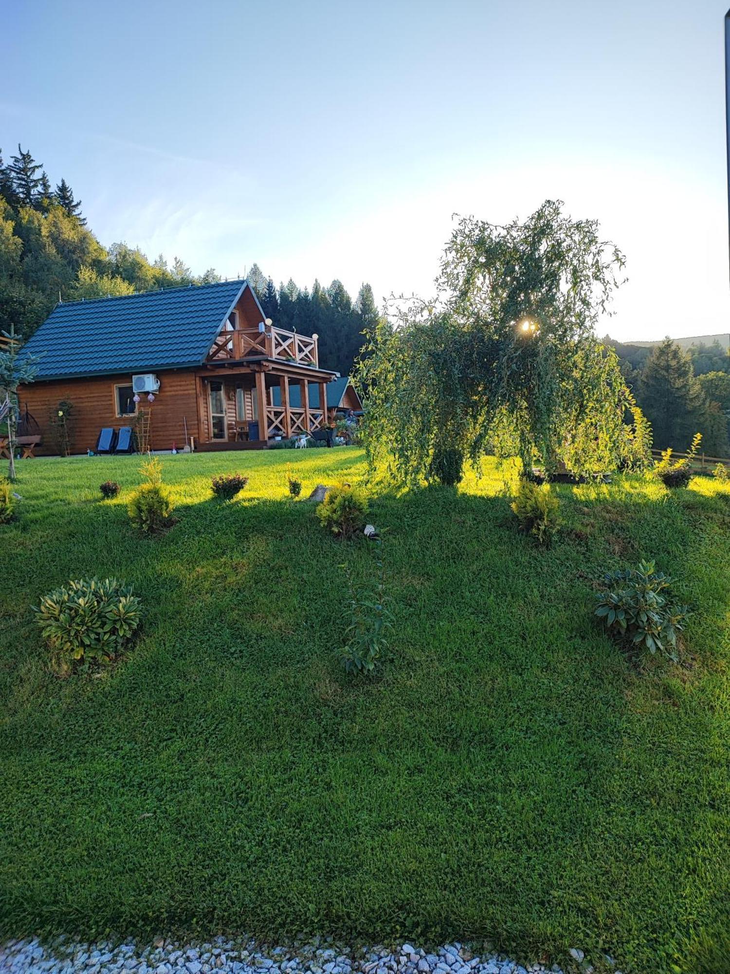 Kolorowe