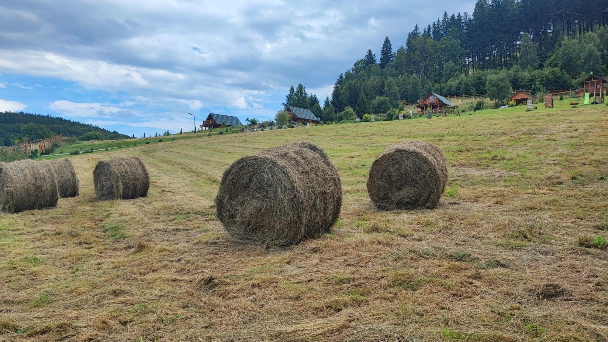 Kolorowe