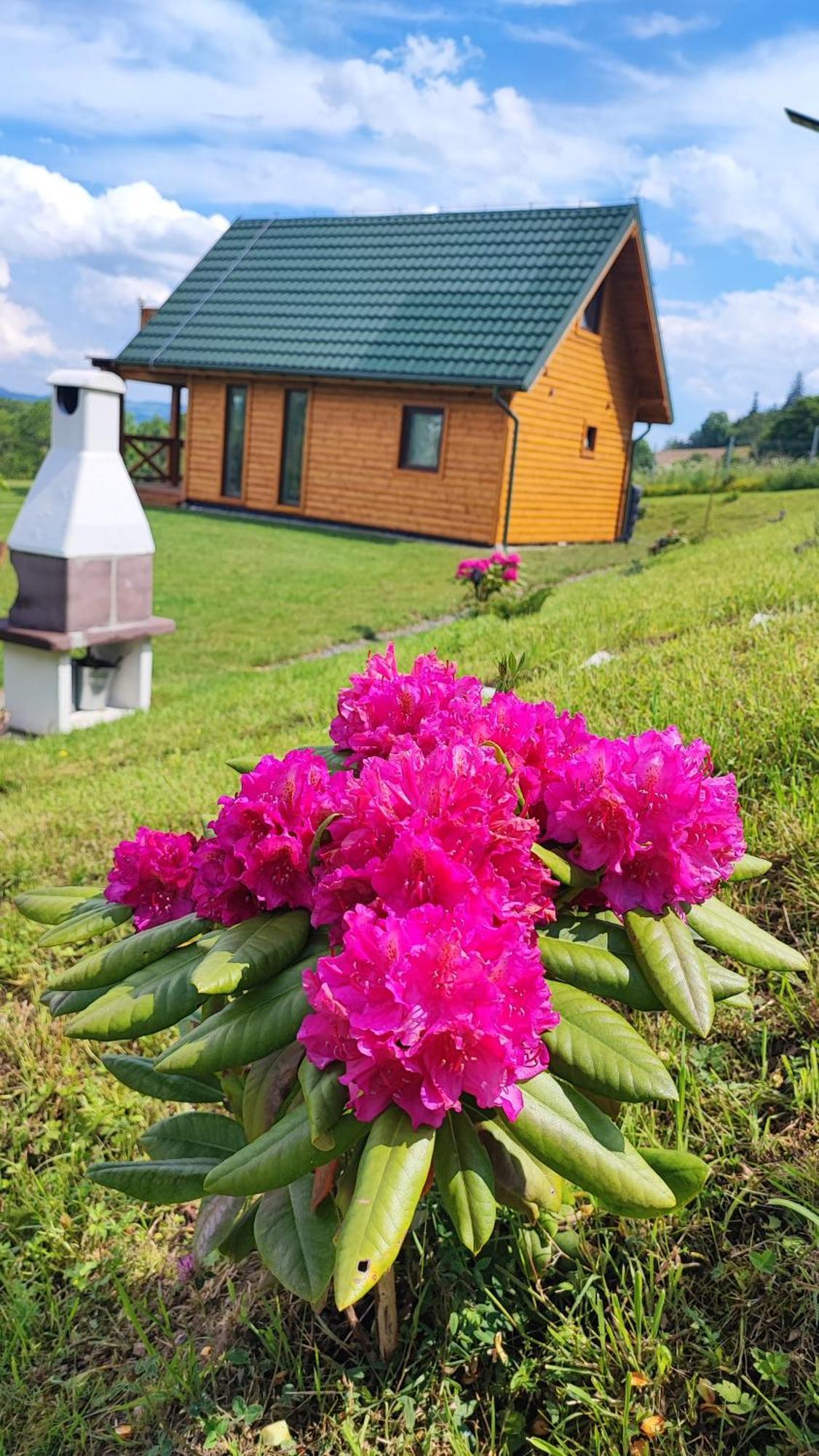 Holiday home Kolorowe Marciszow