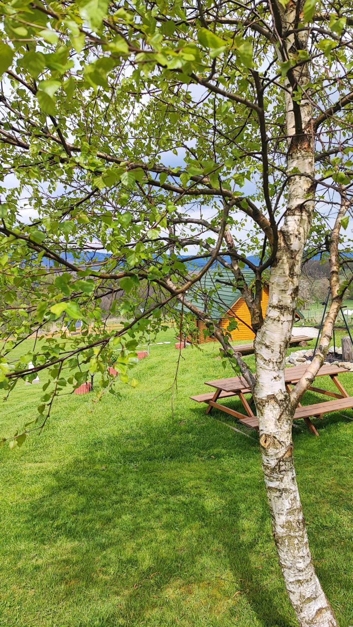 Kolorowe Holiday home Marciszow