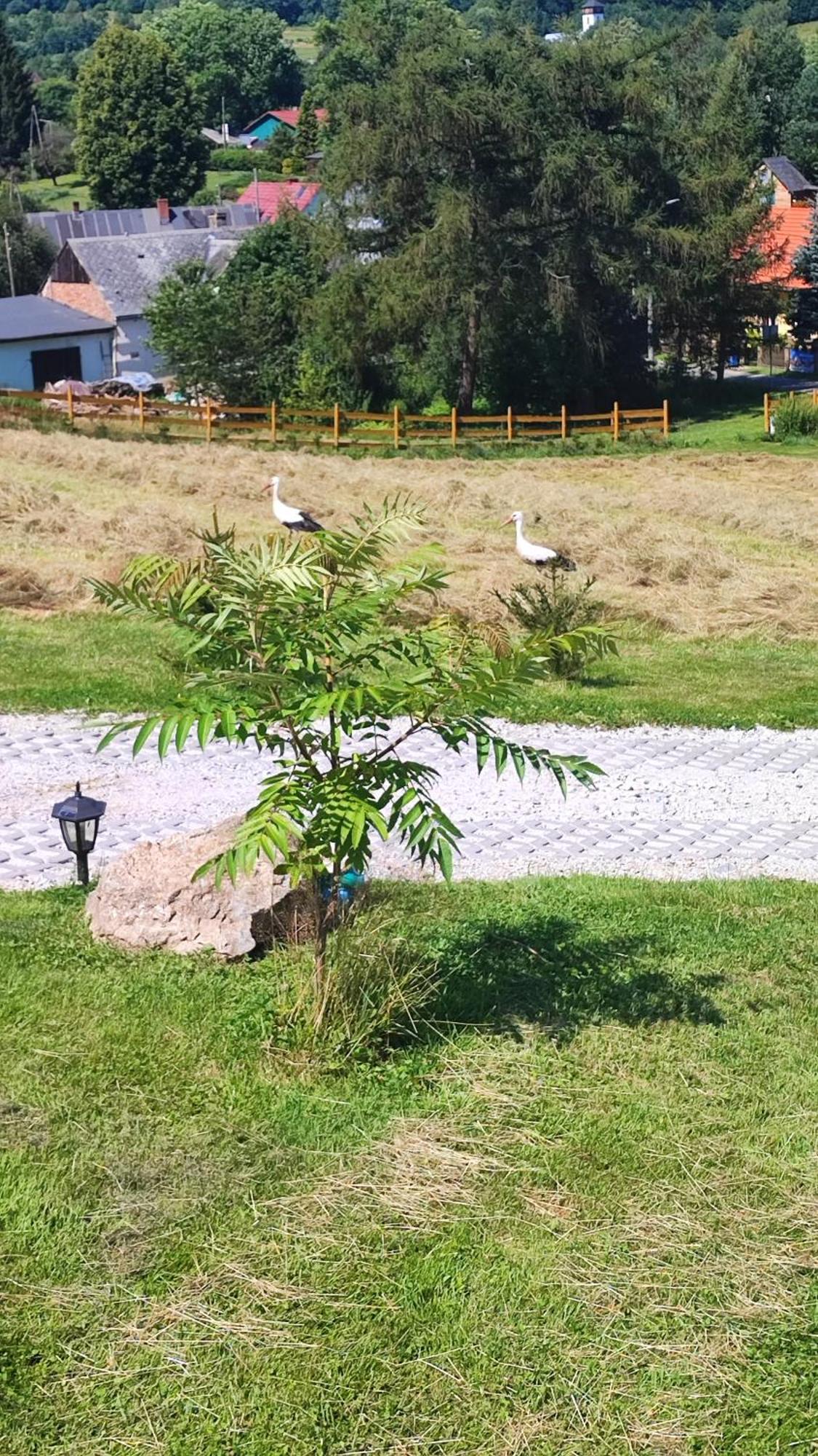Holiday home Kolorowe
