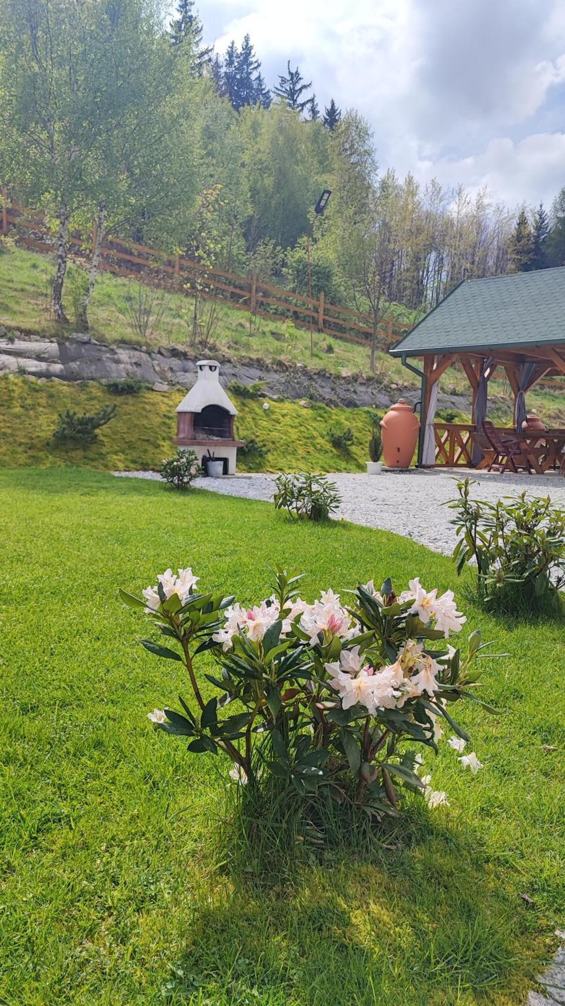 Kolorowe
